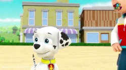انیمیشن پاوپاترول قسمت پانزدهم از فصل سوم PawPatrol S03E15